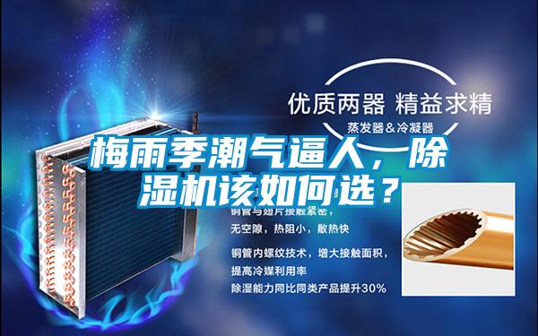 梅雨季潮氣逼人，除濕機該如何選？