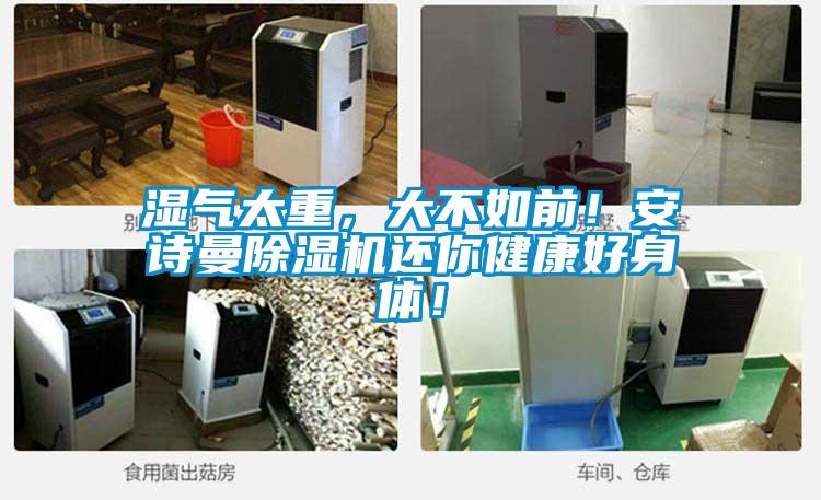 濕氣太重，大不如前！安詩曼除濕機(jī)還你健康好身體！