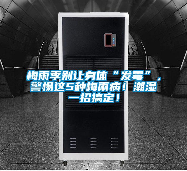 梅雨季別讓身體“發(fā)霉”，警惕這5種梅雨??！潮濕一招搞定！
