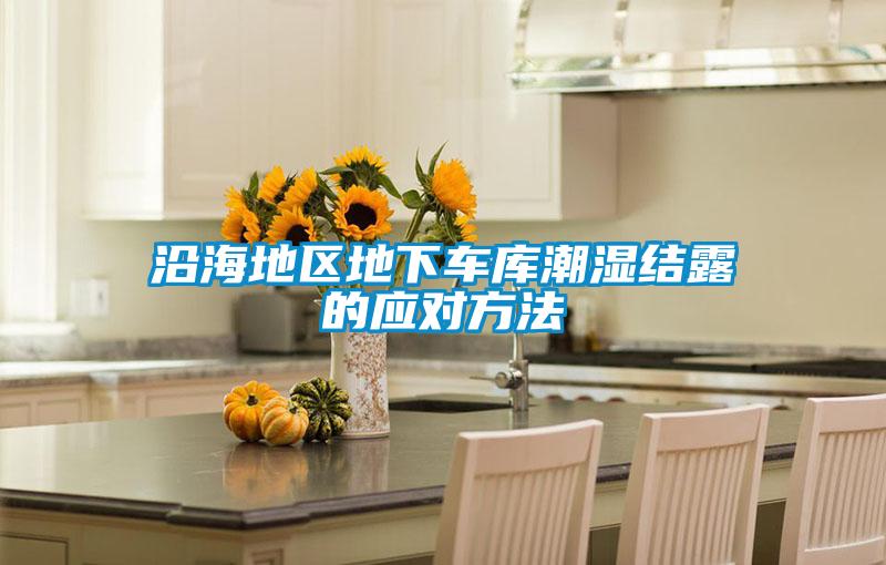 沿海地區(qū)地下車(chē)庫(kù)潮濕結(jié)露的應(yīng)對(duì)方法