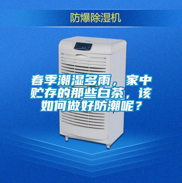 春季潮濕多雨，家中貯存的那些白茶，該如何做好防潮呢？