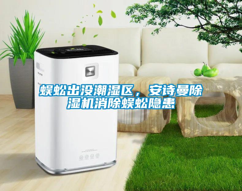 蜈蚣出沒潮濕區，安詩曼除濕機消除蜈蚣隱患