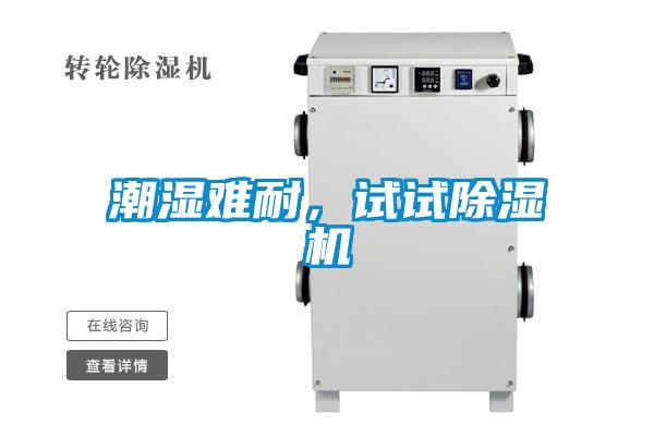 潮濕難耐，試試除濕機