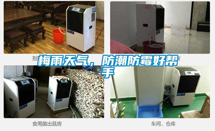 梅雨天氣，防潮防霉好幫手