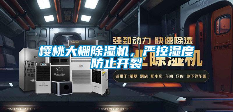 櫻桃大棚除濕機(jī)，嚴(yán)控濕度防止開裂