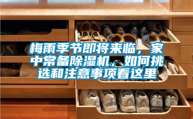 梅雨季節即將來臨，家中常備除濕機，如何挑選和注意事項看這里