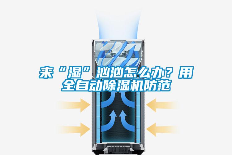 來“濕”洶洶怎么辦？用全自動除濕機防范