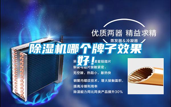除濕機哪個牌子效果好！