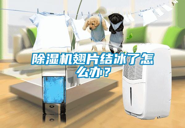 除濕機翅片結冰了怎么辦？