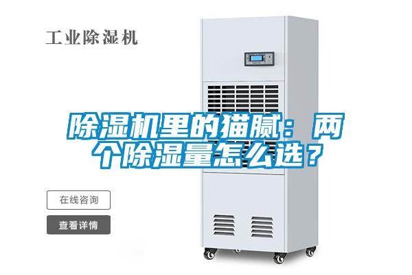 除濕機里的貓膩：兩個除濕量怎么選？