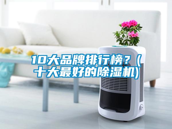 10大品牌排行榜？(十大最好的除濕機)