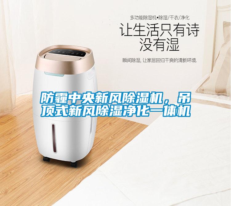 防霾中央新風除濕機，吊頂式新風除濕凈化一體機