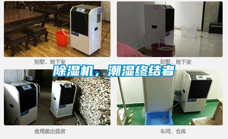 除濕機，潮濕終結者