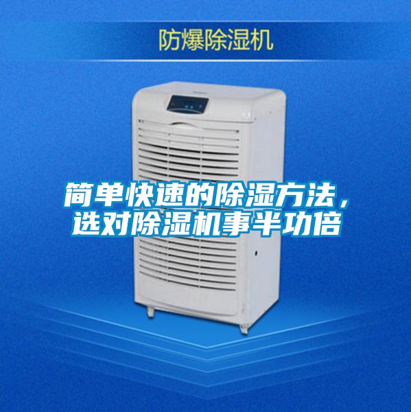 簡單快速的除濕方法，選對除濕機事半功倍