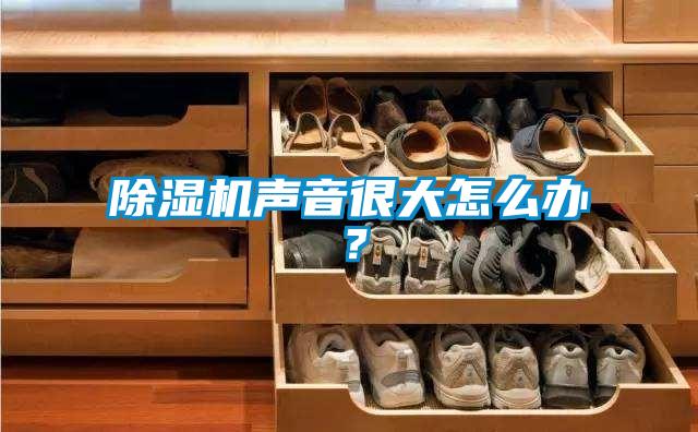 除濕機聲音很大怎么辦？