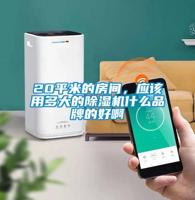20平米的房間，應該用多大的除濕機什么品牌的好啊