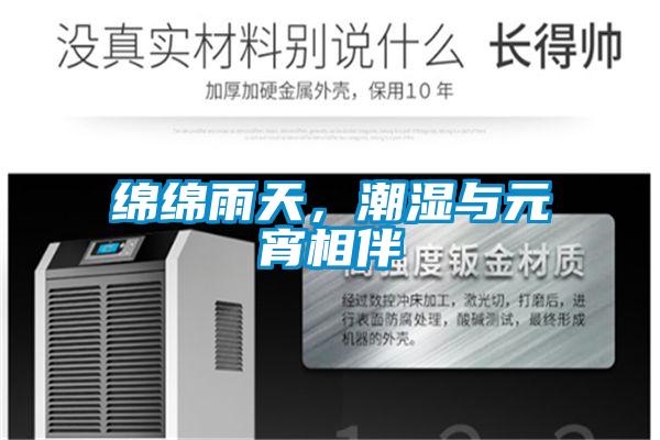 綿綿雨天，潮濕與元宵相伴