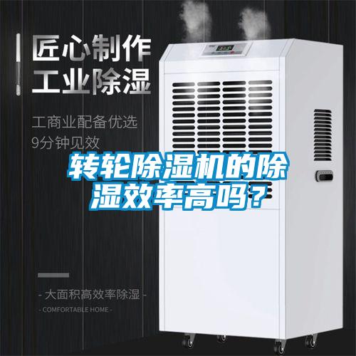 轉輪除濕機的除濕效率高嗎？