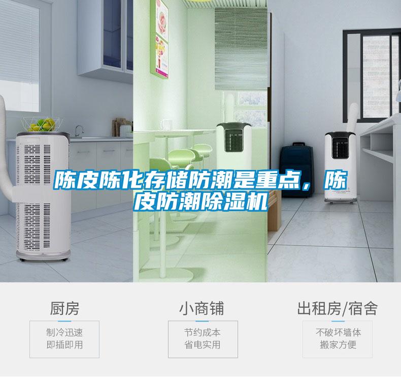 陳皮陳化存儲防潮是重點，陳皮防潮除濕機