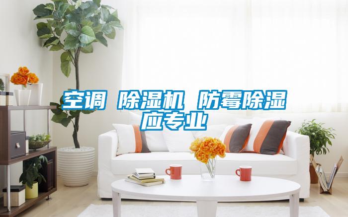 空調≠除濕機 防霉除濕應專業