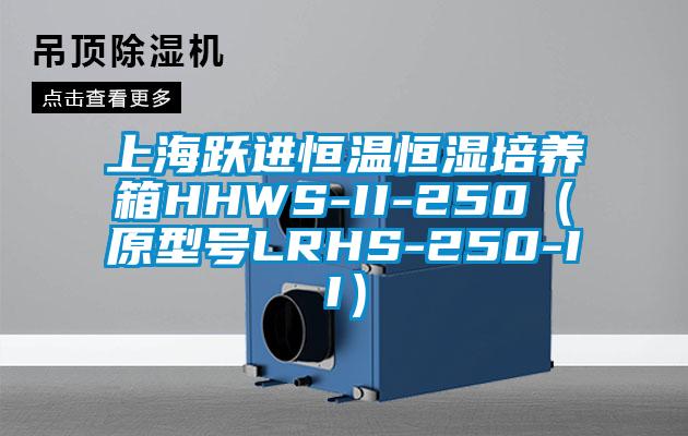 上海躍進恒溫恒濕培養箱HHWS-II-250（原型號LRHS-250-II）
