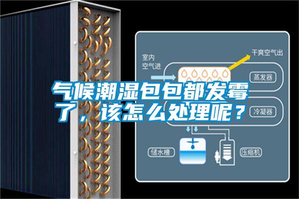 氣候潮濕包包都發霉了，該怎么處理呢？