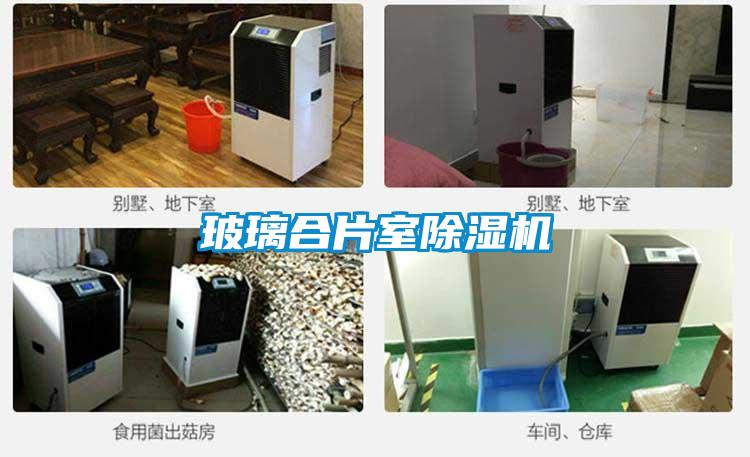 玻璃合片室除濕機