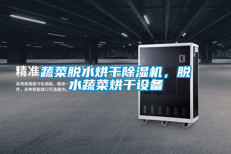 蔬菜脫水烘干除濕機(jī)，脫水蔬菜烘干設(shè)備