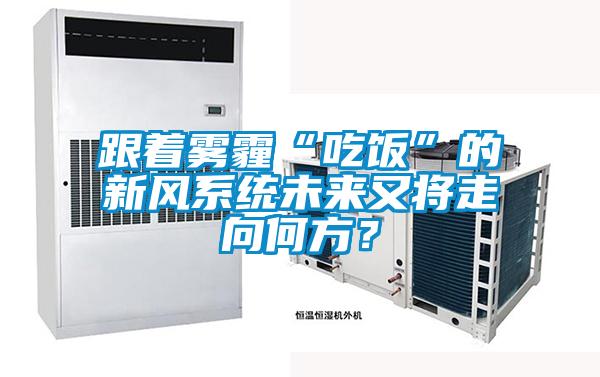 跟著霧霾“吃飯”的新風系統未來又將走向何方？