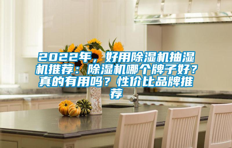 2022年，好用除濕機(jī)抽濕機(jī)推薦：除濕機(jī)哪個(gè)牌子好？真的有用嗎？性價(jià)比品牌推薦