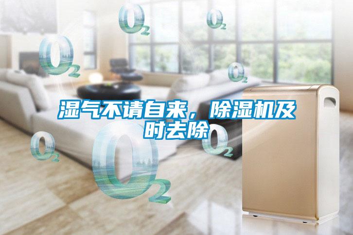 濕氣不請自來，除濕機(jī)及時(shí)去除