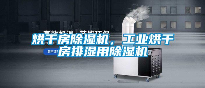 烘干房除濕機，工業烘干房排濕用除濕機