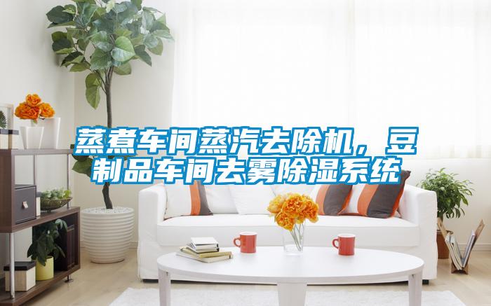 蒸煮車間蒸汽去除機，豆制品車間去霧除濕系統