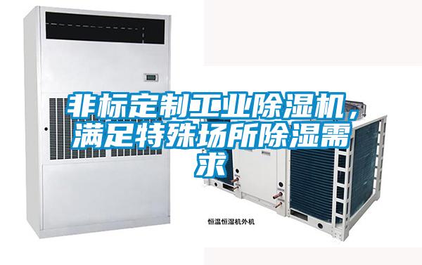 非標定制工業除濕機，滿足特殊場所除濕需求