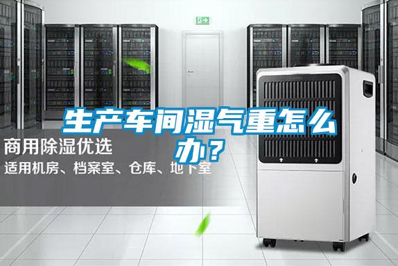 生產車間濕氣重怎么辦？