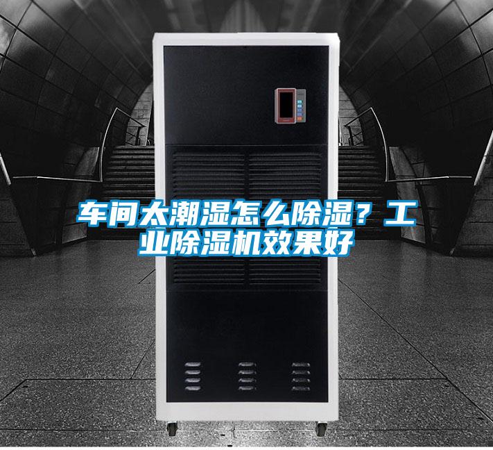 車間太潮濕怎么除濕？工業(yè)除濕機(jī)效果好
