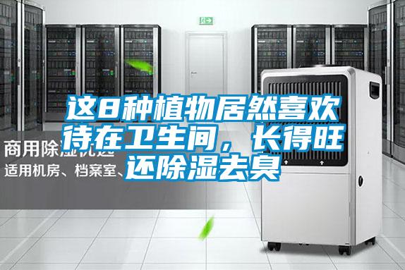 這8種植物居然喜歡待在衛生間，長得旺還除濕去臭