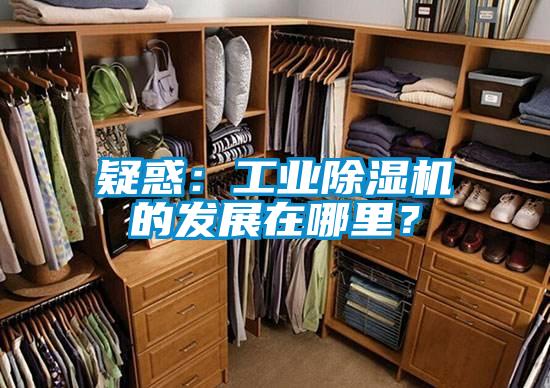 疑惑：工業(yè)除濕機(jī)的發(fā)展在哪里？