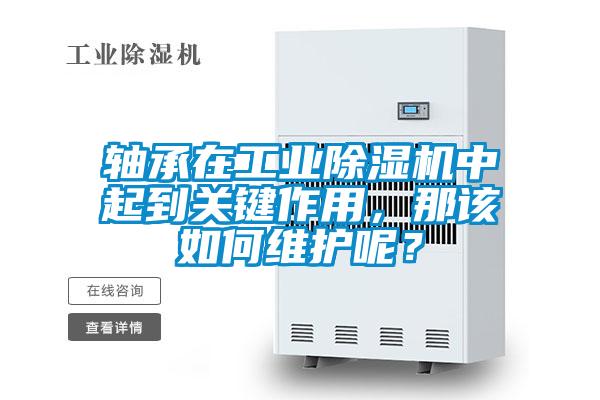 軸承在工業除濕機中起到關鍵作用，那該如何維護呢？