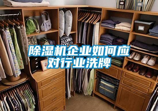 除濕機(jī)企業(yè)如何應(yīng)對行業(yè)洗牌