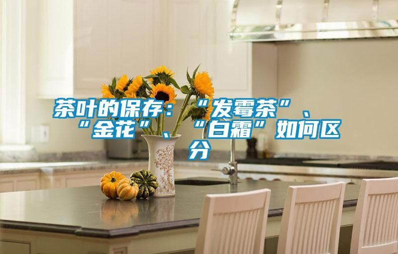茶葉的保存：“發(fā)霉茶”、“金花”、“白霜”如何區(qū)分