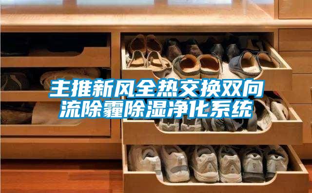 主推新風全熱交換雙向流除霾除濕凈化系統