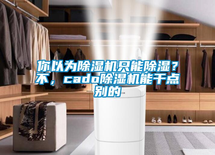 你以為除濕機只能除濕？不，cado除濕機能干點別的