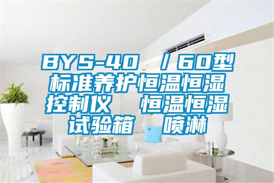 BYS-40 ／60型標準養護恒溫恒濕控制儀  恒溫恒濕試驗箱  噴淋