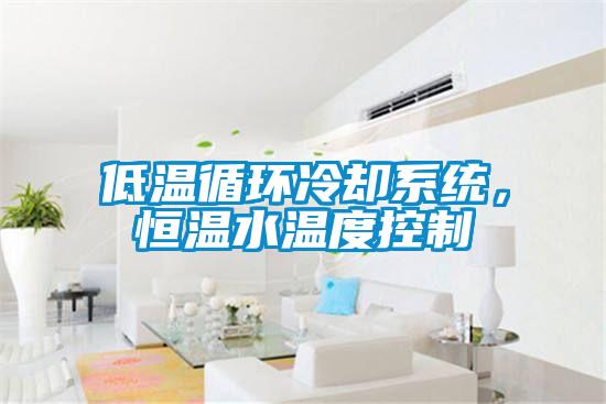 低溫循環冷卻系統，恒溫水溫度控制