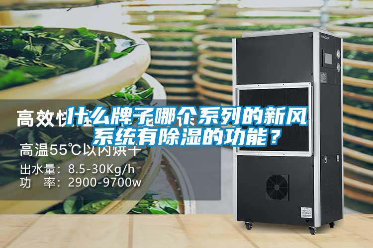 什么牌子哪個系列的新風系統有除濕的功能？