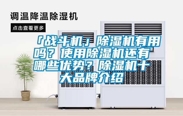 「戰斗機」除濕機有用嗎？使用除濕機還有哪些優勢？除濕機十大品牌介紹