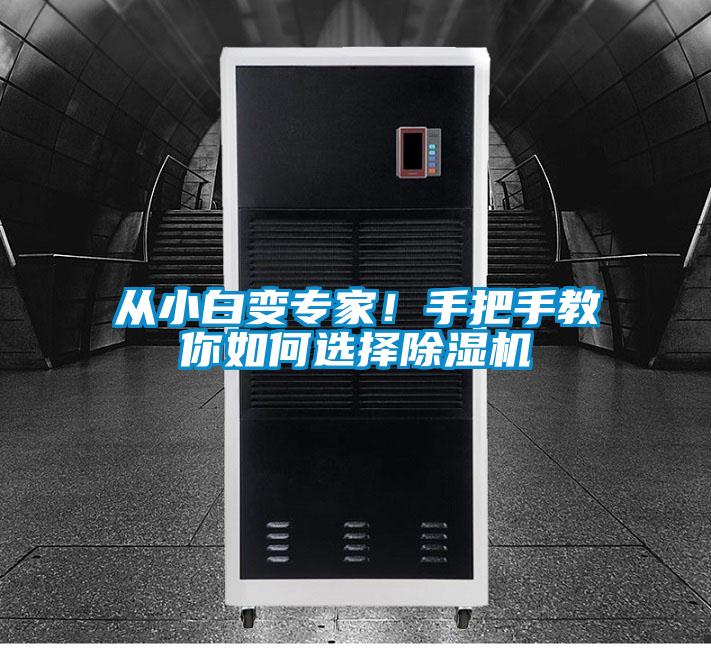 從小白變專家！手把手教你如何選擇除濕機