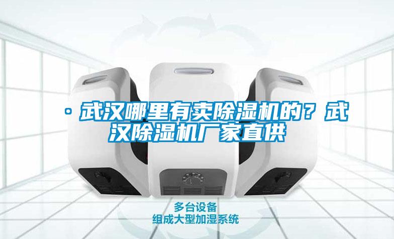 ·武漢哪里有賣除濕機的？武漢除濕機廠家直供