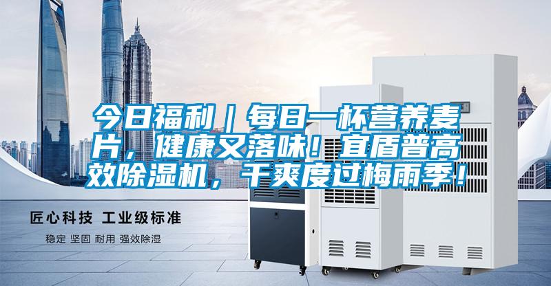 今日福利｜每日一杯營養麥片，健康又落味！宜盾普高效除濕機，干爽度過梅雨季！